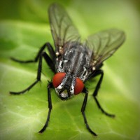 /album/www-karpao-com/photolia-a01-jpg/