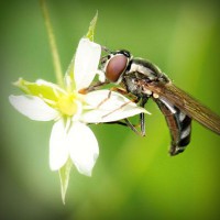 /album/www-karpao-com/photolia-a02-jpg/