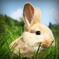 /album/www-karpao-com/photolia-a03-jpg/