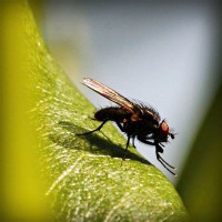 /album/www-karpao-com/photolia-a04-jpg/