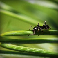 /album/www-karpao-com/photolia-a05-jpg/