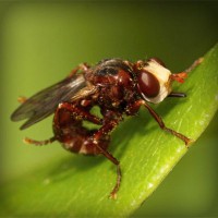 /album/www-karpao-com/photolia-a06-jpg/