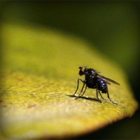 /album/www-karpao-com/photolia-a07-jpg/