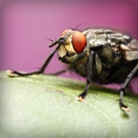 /album/www-karpao-com/photolia-a08-jpg/